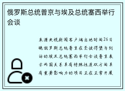 俄罗斯总统普京与埃及总统塞西举行会谈